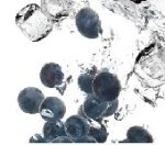On The Rocks Cider Blueberry 40 Pints BB 06/25