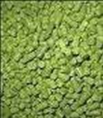 Saaz Pellets 100g AA 3.2% 2024 Harvest