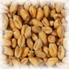CHATEAU Wheat Blanc WHOLE (White Wheat) 4 EBC 1KG