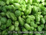 Cascade Leaf 100g AA 6.7% 2023 Harvest